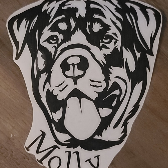 Window decals - Picture 4 of 9